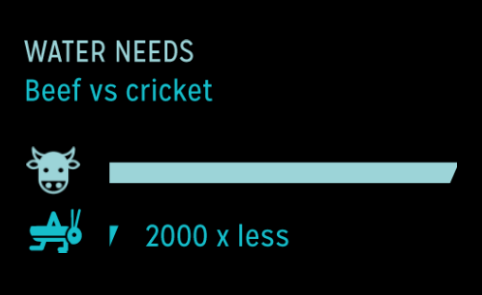 cricket sustainable benefits