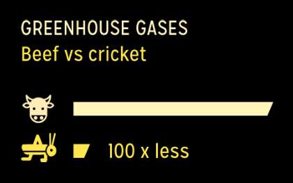 cricket sustainable fuel