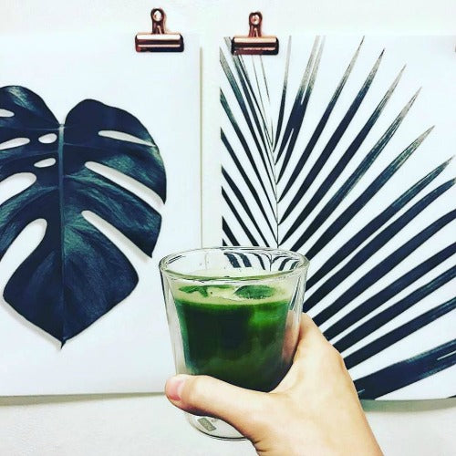 Drinking matcha has been a tradition for a long time and proven to have many health benefits