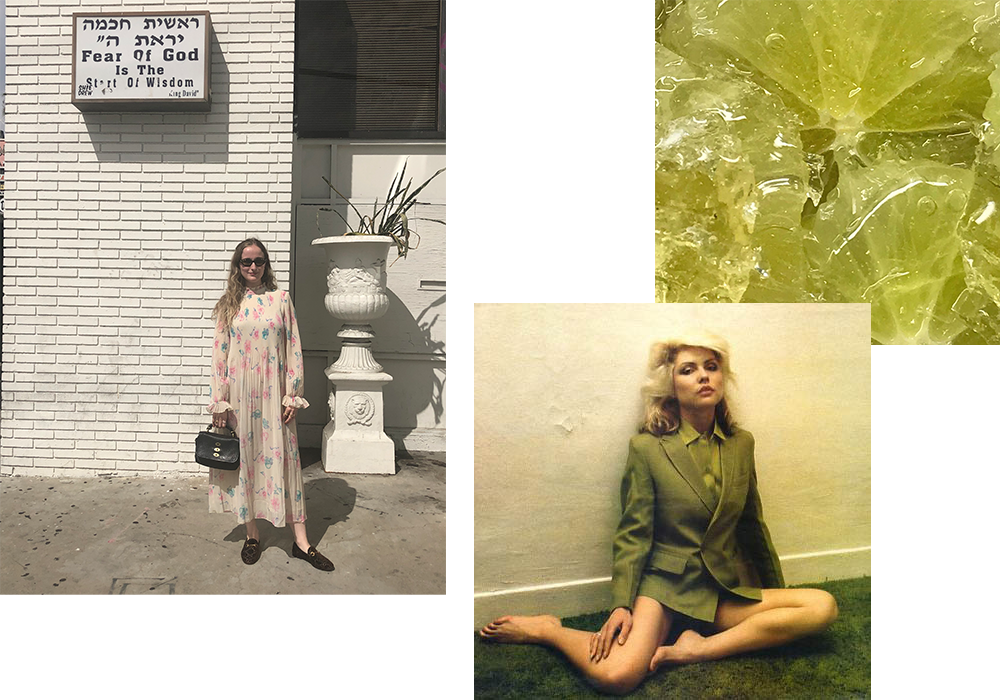 Madeline Sensible / woman in green hat and blazer sitting on the ground / limes.