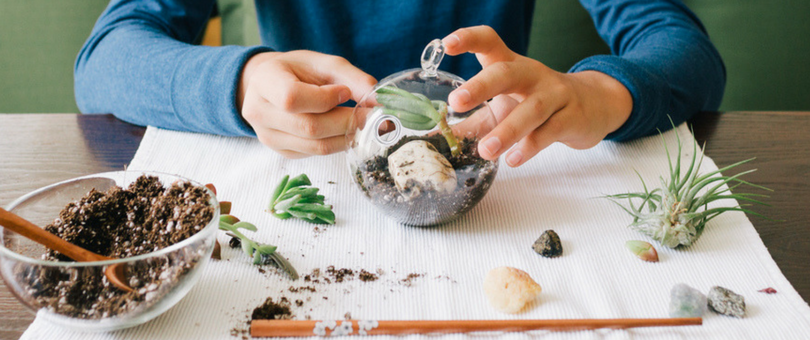 How to make a terrarium | Shopify Retail blog