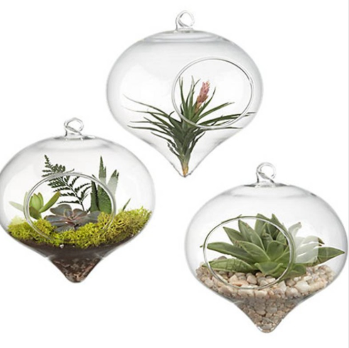 How to make a terrarium: hanging container | Shopify Retail blog