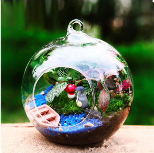 How to make a terrarium: round class container | Shopify Retail blog