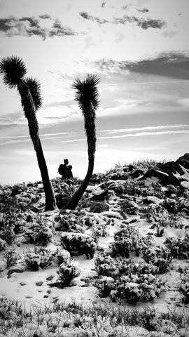 Snow in Joshua Tree