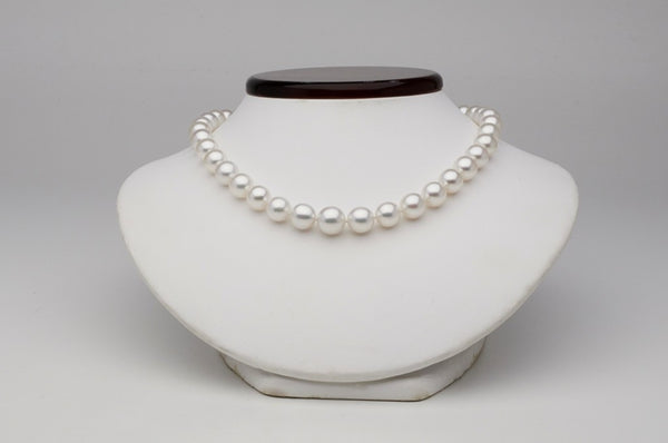 Large White South Sea pearls
