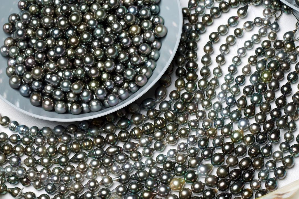 Tahitian pearls selected for the big Fall Pearl Paradise promotion