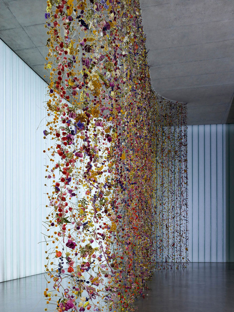 REBECCA LOUISE LAW