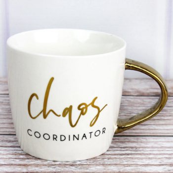 Chaos coordinator mug