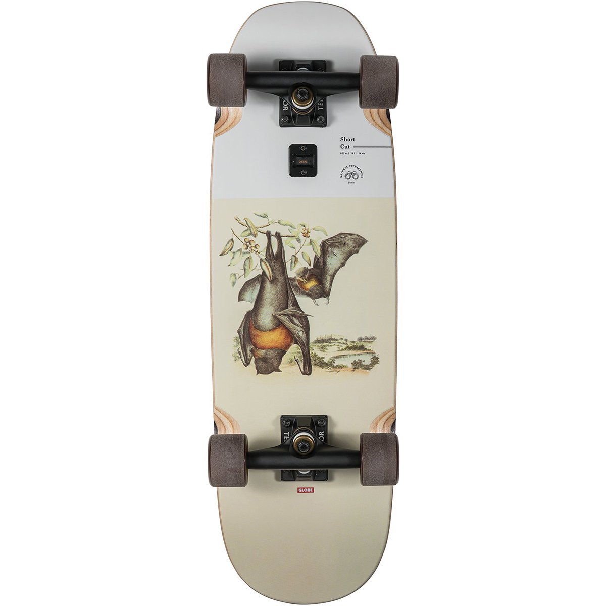 Skateboards Short 28" Skateboard - Bats – SURF WORLD SURF