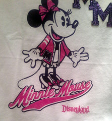 Fenway Park used on Disneyland sweatshirt