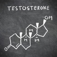 impact of testosterone on acne