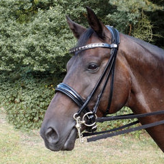 Bridle and Browband