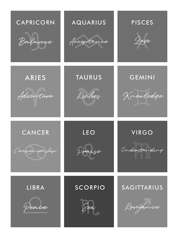 Capricorn, Aquarius, Pisces, Aries, Taurus, Gemini, Cancer, Leo, Virgo, Libra, Scorpio, Sagittarius, horoscope zodiac astrology star sign constellation