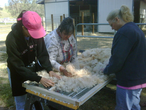 Sorting fiber on a fiber rack