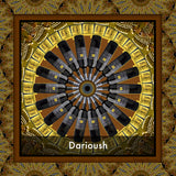 Darioush Wine Scarf