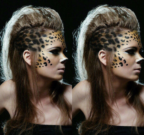 Cheetah Inspo 
