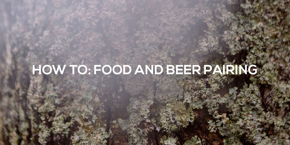 How to pair beer with food