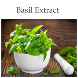 Basil Flower / Leaf Extract - a sacred medicinal herb