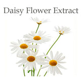 Daisy Flower Extract