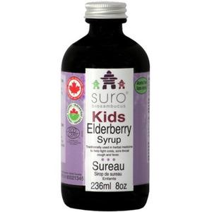Antiviral remedies - elderberry