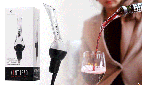 The best under $20 wine decanter, the Vintorio Wine Aerator Pourer