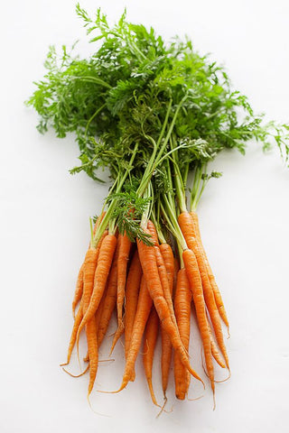 carrots collagen photography
