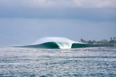 WSL Corona Bali Protected 2019