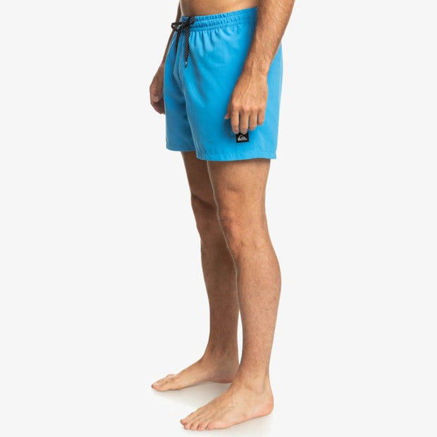 Everyday Volley 15" Shorts - Mens Swim Shorts - Blithe - firstmasonicdistrict