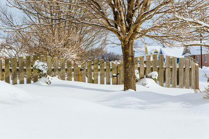 winter garden scene