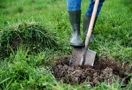 digging in the garden with shovel