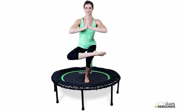 Grondig Namaak Appal The Leaps and Rebounds Mini Fitness Trampoline and Rebounder