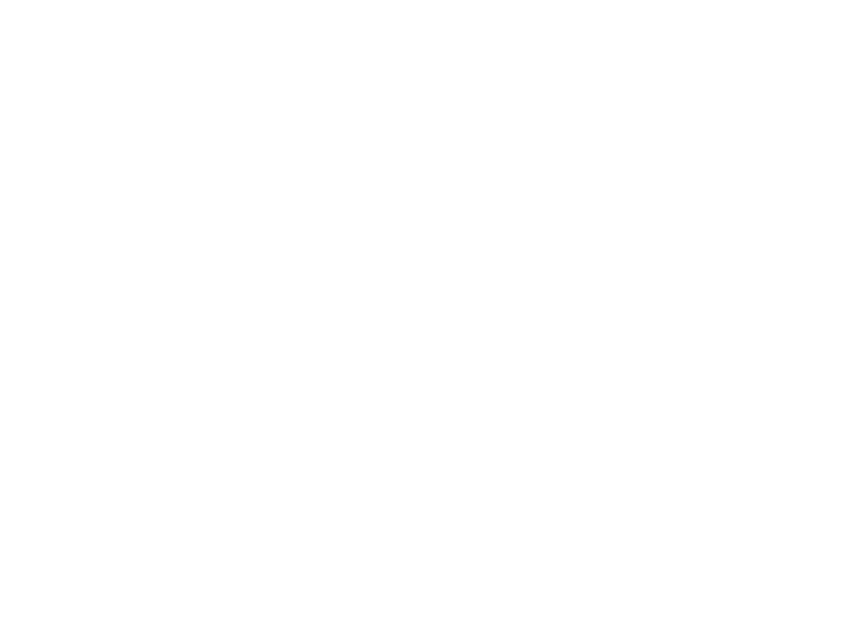 Grunt Style, Patriotic American Apparel