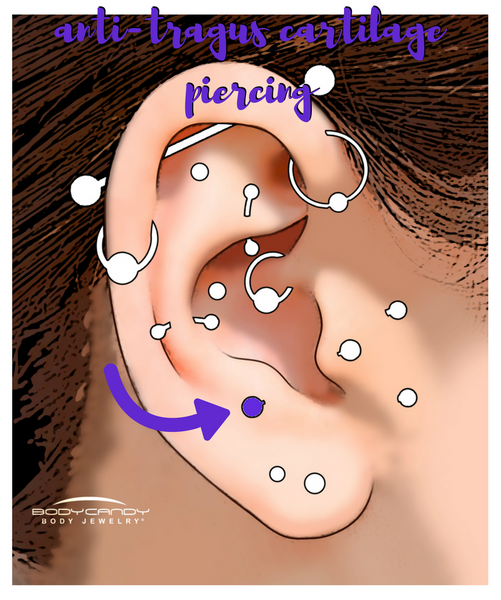Encyclopedia Of Body Piercings Anti Tragus Cartilage Piercing Bodycandy