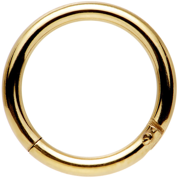Surgical Steel Hinged Segment Ring w/ Titanium Anodized and Precision 14GA 3/8 Gold 