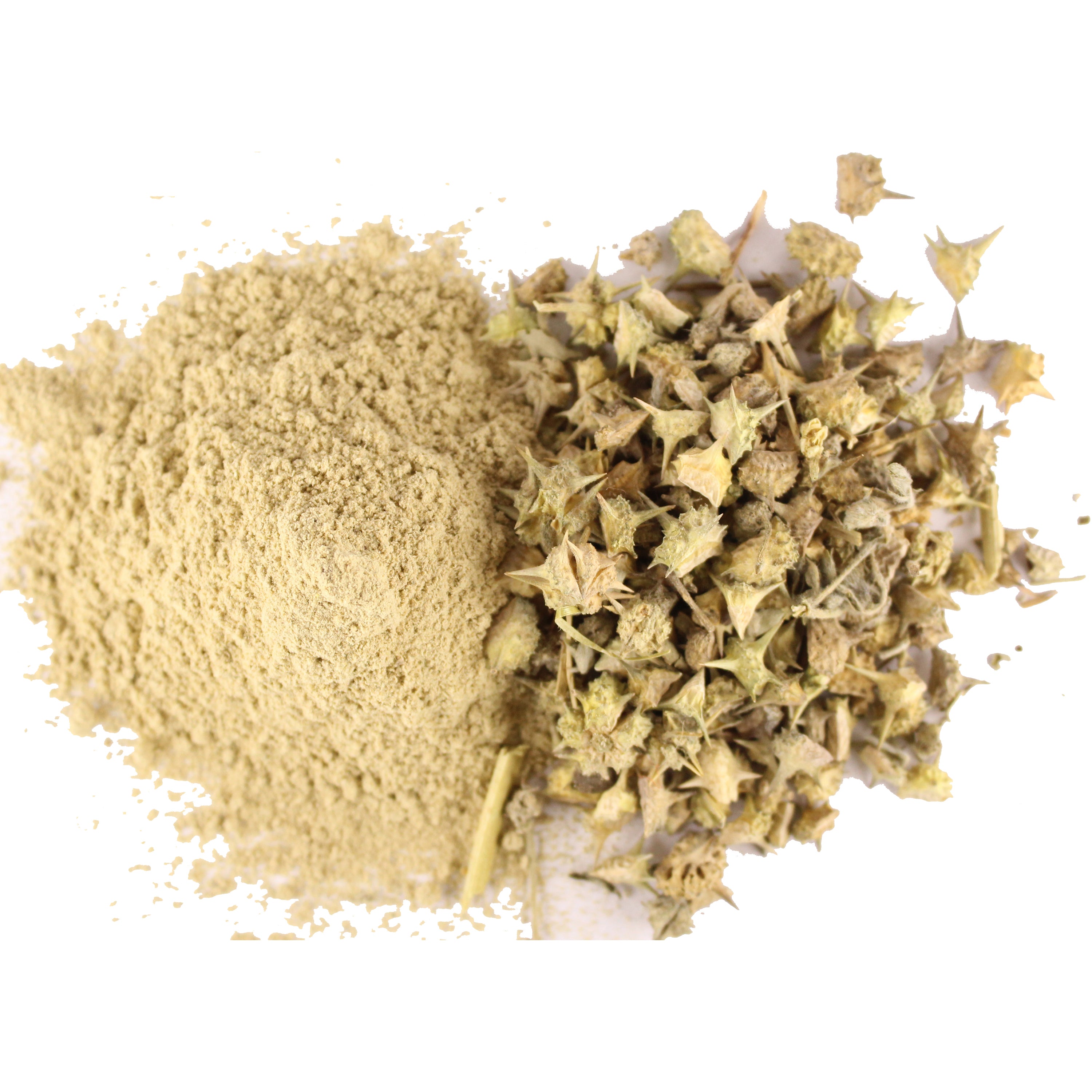 Tribulus Terrestris supplement