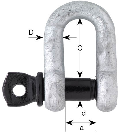 Black Pin US Fed Spec D-Shackle With Screw Pin