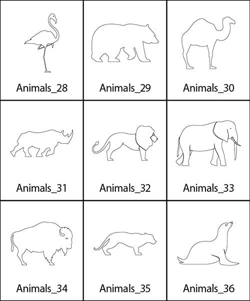 Animals 4