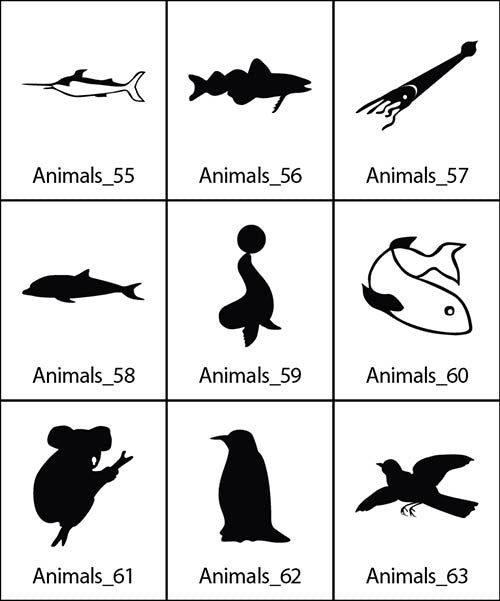 Animals 7
