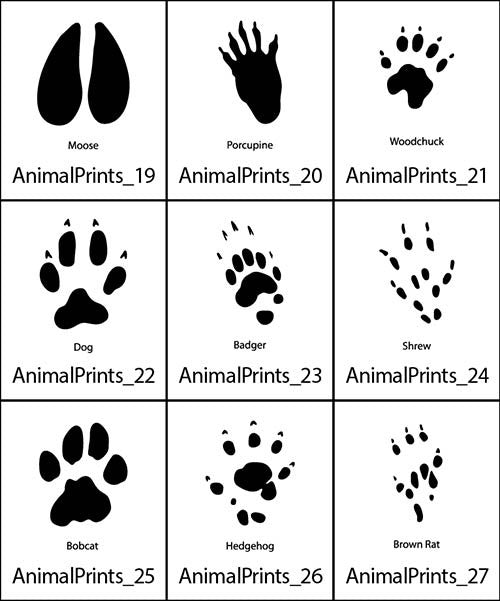 Animal Prints 3