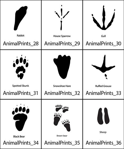 Animal Prints 4