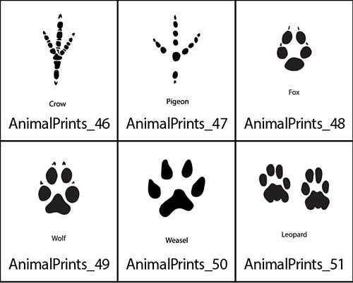 Animal Prints 6