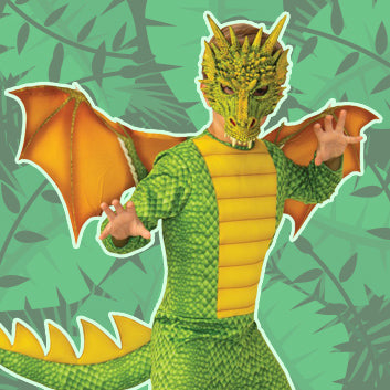 Deluxe Dragon child costume 