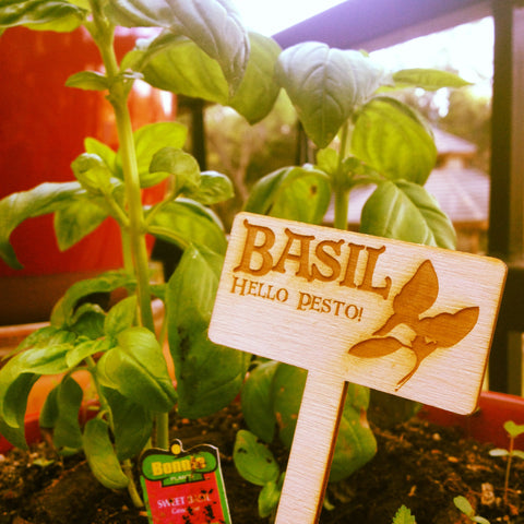 basil garden stake