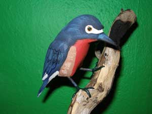Puerto Rican Woodpecker(Carpintero de Puerto Rico)