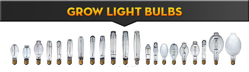 Grow Light Bulbs