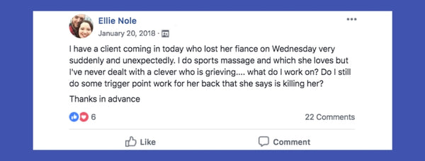 Client dealing with grief facebook post from Ellie Nole