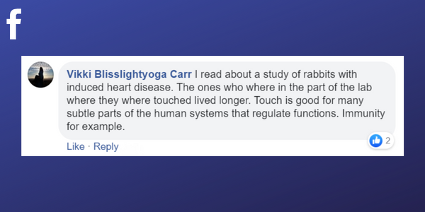 Facebook post from Vikki Blisslightyoga Carr about massage supporting the immune system