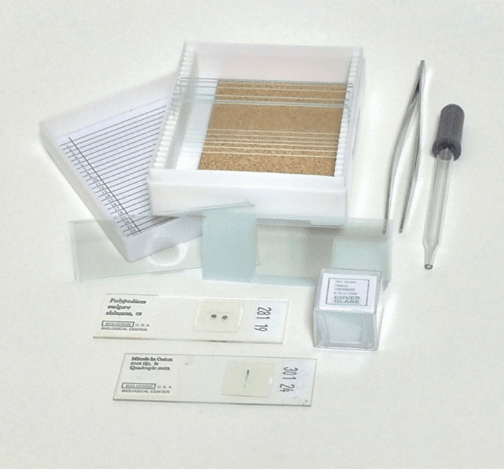 Benz Microscope Basic Glass Slide Making Kit 20 Pieces Bzk2010