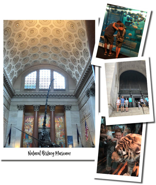 NATURAL HISTORY MUSEUM NEW YORK - THINGS TO DO WITH KIDS