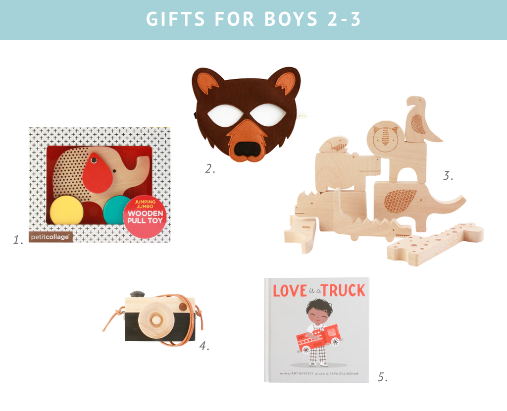 Birthday gifts for boys 2-3
